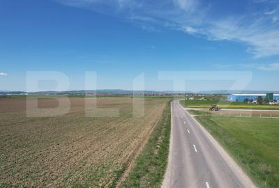 Teren agricol extravilan de 17700 mp, în Exterior Est