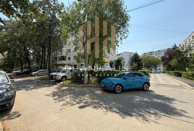 Apartament 2 camere,zona B-dul Traian Pizza Plus/Petru Rares - 11