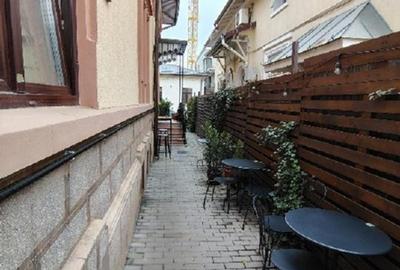 Tineretului parc Carol  Cafenea-restaurant si minihotel - 15