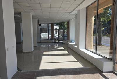 Delfinariu, Bd. Mamaia-str.Ioan Murgescu,spațiu comercial 185 mp de închiriat - 5