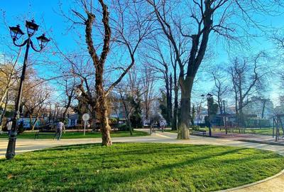 Apartament exclusivist 3 camere cu terasa si parcare | Dacia - Icoanei - 14