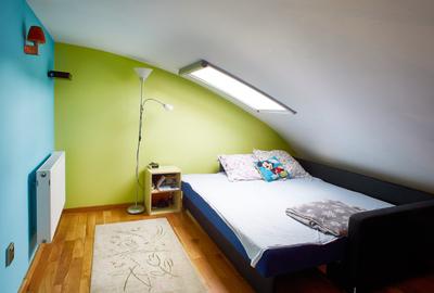 Reprezentare exclusivă · Casa dintre magnolii, Făget · 1.343 mp lângă pădure - 19