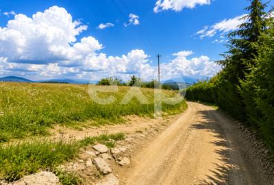 Teren agricol extravilan de 8544 mp, în Poiana Mărului