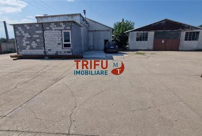 Spațiu industrial, de 1,666 mp, în Ampoi 1