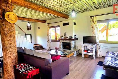 Cabana cu 7 camere de vanzare in Albac - V10073 - 3