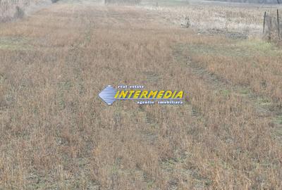 Teren intravilan 4200 mp de vanzare Alba Micesti cu utiliati langa - 3