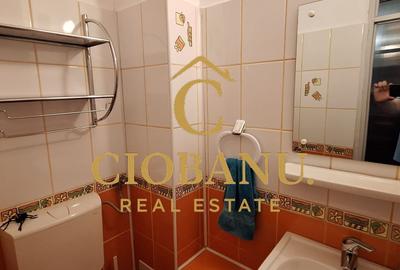 Apartament 3 camere DECOMANDAT etaj 2/4 de vanzare zona Lapus Arges - 10