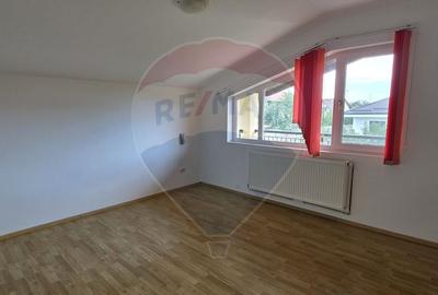 Casa P+M de vanzare in Valea Voievozilor Aleea Manastirii - 16