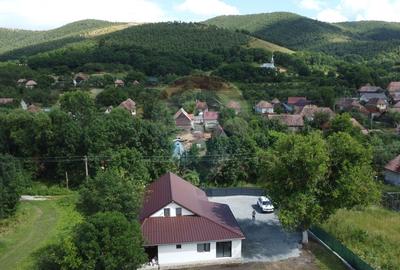 Casa finalizata recent, 2.800 mp teren Livada - Petresti de Jos - 24