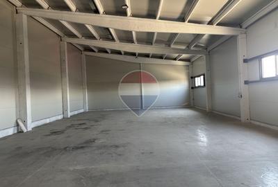 Hală industrială nouă 432 mp, curte proprie 360 mp, acces TIR - 3