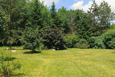 Teren intravilan de 1363 mp, în Corbeanca