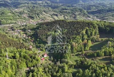 Oportunitate! Domeniu montan, cu lac propriu, oras Lupeni, Hunedoara - 12