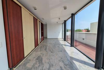 Inchiriere vila moderna Iancu Nicolae - 38