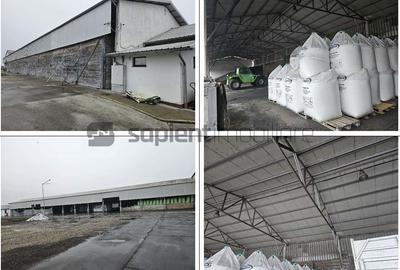 Proprietate industrială  Platformă logistică de vânzare în Tinca - 6