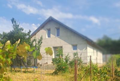 Casă individuală cu 5 camere în Băiceni