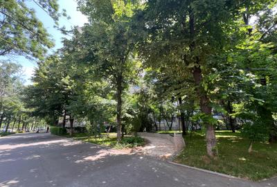 Apartament 2 camere - Drumul Taberei - 13