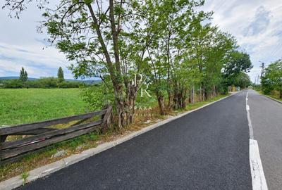 Teren Construcții intravilan de 12432 mp, în Florești