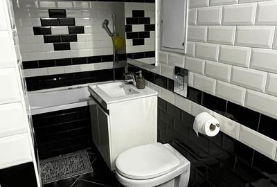 Inchiriere Apartament 4 camere Gorjului-Lujerului - 15