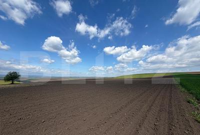 Teren agricol extravilan de 3900 mp, în Periferie