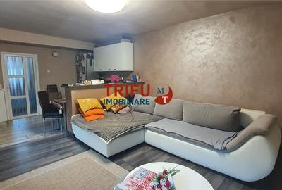 Casă individuală cu 8 camere în Ampoi 1