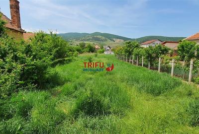 Teren Construcții intravilan de 765 mp, în Micești