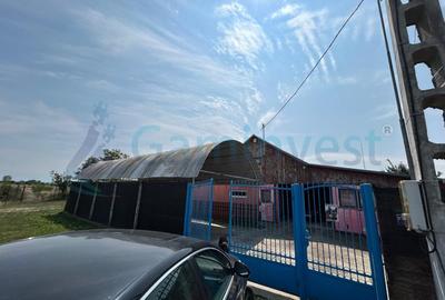 Spațiu industrial, de 360.00 mp, în Săbolciu