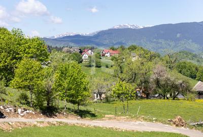 Fundata-Teren de vanzare 15,771 mp intravilan+extravilan+padure - 3