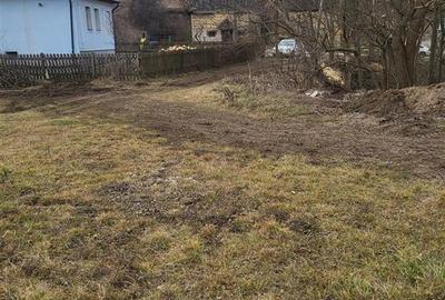 Teren pentru 2 case in Mera - 4