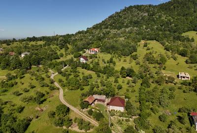 Teren intravilan 5.105 mp, Baia Sprie, la intrare pe Valea Chiuzbăii - 2