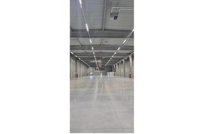 Spatiu Industrial - 2700 mp - Productie - Depozitare - Distributie - 9