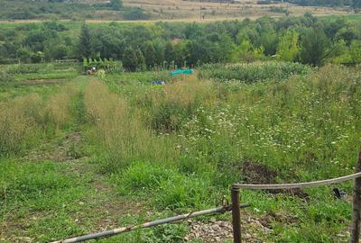 Teren Construcții intravilan de 5000 mp, în Budiului
