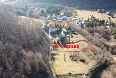 Teren 1,500mp Lepsa / Strada Manastirii - 12