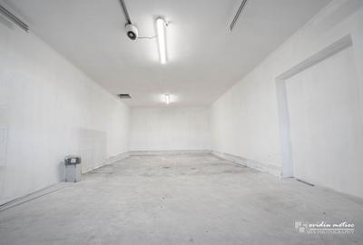 Modul hala 65 mp, zona Calea Baciului - 8
