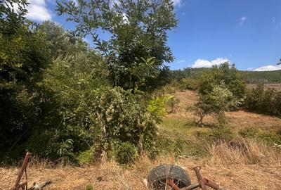 TEREN INTRAVILAN - 2500 MP - Valea Mare- Podgoria - 5