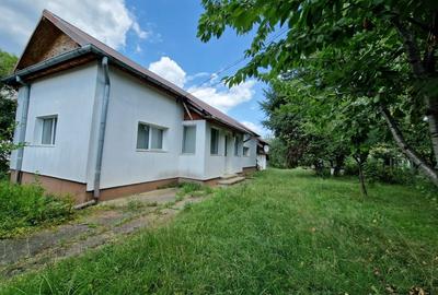 Balilesti - Stradal, casa spatioasa, 4600 mp teren intravilan - curte spatioasa - 5