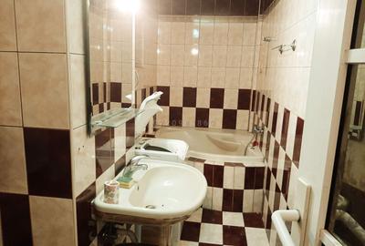 B-dul Unirii, duplex mobilat, cu sauna si terasa inchisa - 11