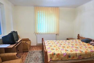 Casa la sol cu teren 1055 mp si livada - Vanatori, Galati - 14