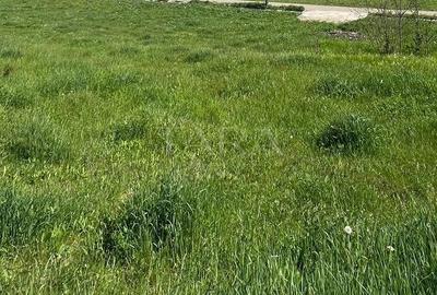 Teren agricol intravilan de 1250 mp, în Răscruci