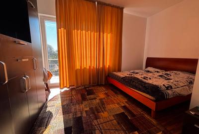 Casa Individuala P+1+M cu lac, sauna si piscina. Pretabil Azil de Batrani - 16