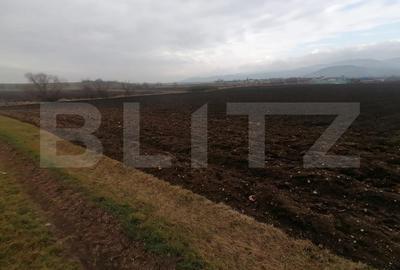 Teren Construcții intravilan de 21300 mp, în Exterior Vest