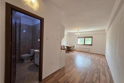 Apartament 1 camera,etaj 1,Cartier Orizont 2,Paleu,Oradea,Bihor - 1