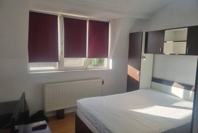 Apartament cu 2 camere, DECOMANDAT, zona Centru-Palas Campus - 10
