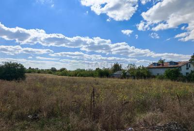 5.900 mp pentru Dezvoltare Rezidențială – Str. Polonă, Periș - 5