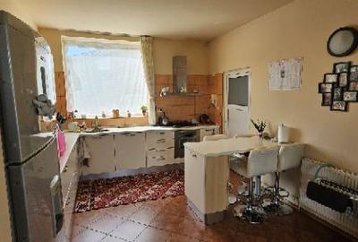 Ciopani vila 5 camere teren 4000 mp - 20