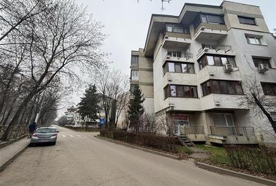 Apartament pretabil birouri - 40 mp - Aleea Parcului - 1