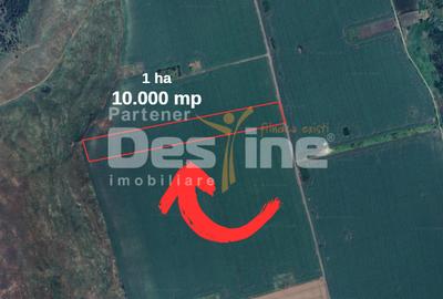 TEREN de vânzare | Extravilan | Valea Lupului 10.000 MP, 35 EUR/mp - 1