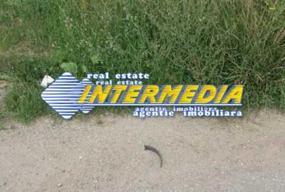 Teren de vanzare in Oarda, zona Ses la sosea 2000 mp - 1
