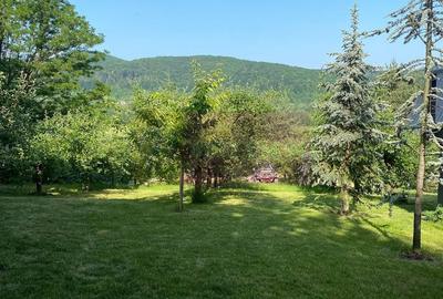 Cabane A frame + Teren 6000 mp |  Proprietate deosebita, NOU - 20