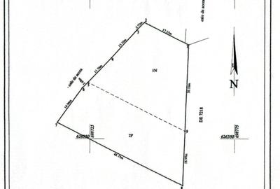 Teren INTRAVILAN cu Pădure-Bucium NATIVA Parc-1500 mp + proiect de casă ! - 2