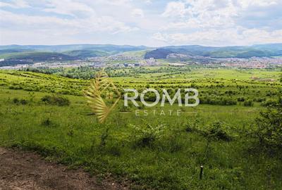 Teren Construcții extravilan de 2900 mp, în Florești